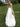 backless wedding dress  JB61340